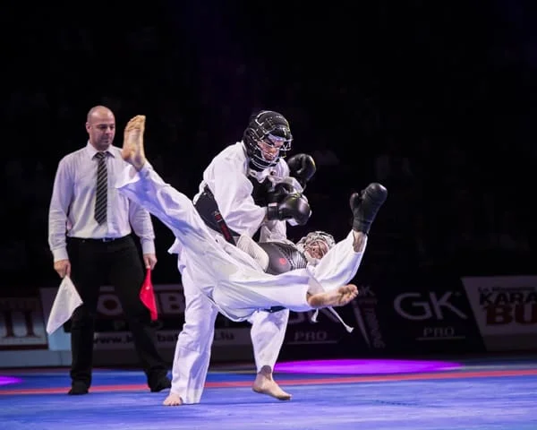 Nippon Kempo